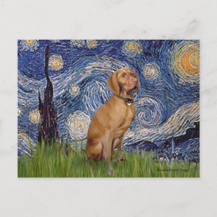 Starry Night - Vizsla 2 Postkarte