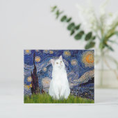 Starry Night - Weiße Katze Postkarte (Stehend Vorderseite)