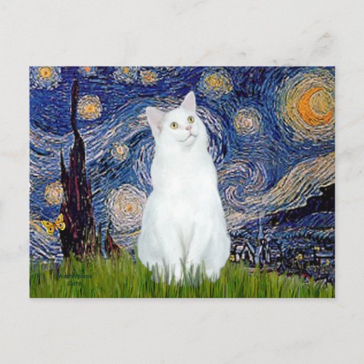 Starry Night - Weiße Katze Postkarte (Vorderseite)