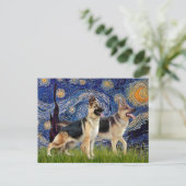 Starry Night - Zwei deutsche Hirten Postkarte (Stehend Vorderseite)