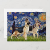 Starry Night - Zwei deutsche Hirten Postkarte (Vorne/Hinten)