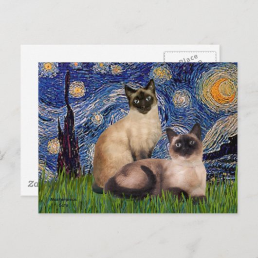 Starry Night - Zwei Siamkatzen (Choc Pt. Postkarte (Vorne/Hinten)