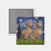 Starry Night - Zwei Vizslas Magnet (Vorderseite/Rückseite)