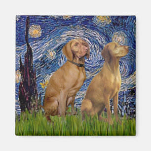 Starry Night - Zwei Vizslas Magnet