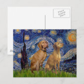 Starry Night - Zwei Vizslas Postkarte (Vorne/Hinten)