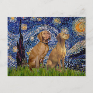 Starry Night - Zwei Vizslas Postkarte