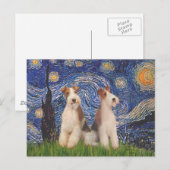 Starry Night - Zwei Wire Fox Terrier Postkarte (Vorne/Hinten)