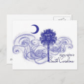 Starry Nights in South Carolina Postkarte (Vorne/Hinten)