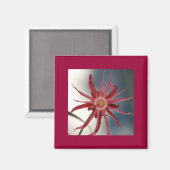 Starry Orchid Magnet (Vorderseite/Rückseite)