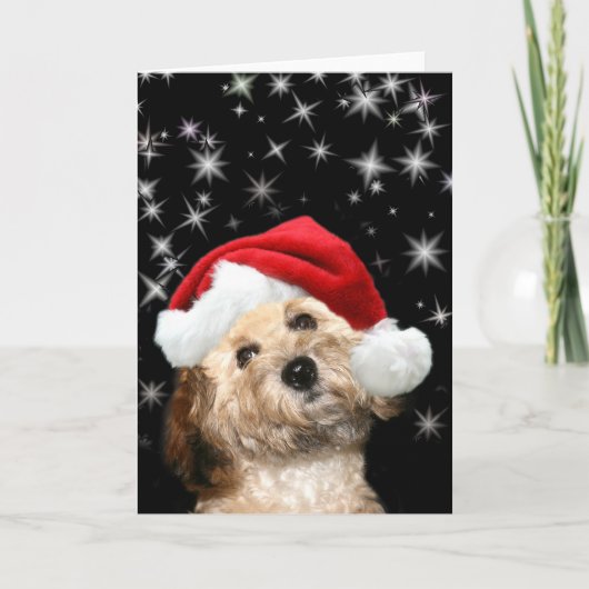Starry Santa dog Feiertagskarte (Vorderseite)