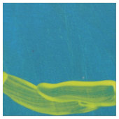 Starry Sky Fabric Stoff (Nahaufnahme)