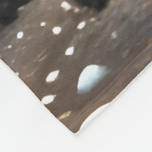 Starry Starry Night Storybook Fox Fleecedecke (Ecke)