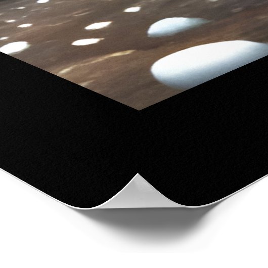 Starry Starry Night Storybook Fox Poster (Ecke)