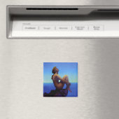 Stars Magnet (In Situ (Geschirrspüler))