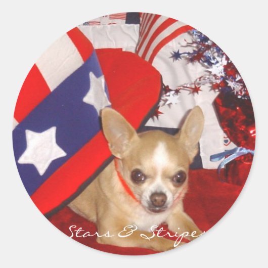 Stars & Stripes Chihuahua Button Runder Aufkleber (Vorderseite)