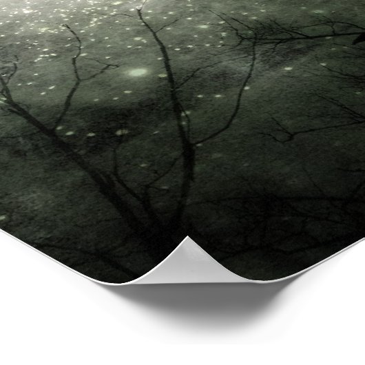 Stars und Crows Collide Poster (Ecke)