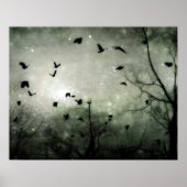 Stars und Crows Collide Poster (Vorne)