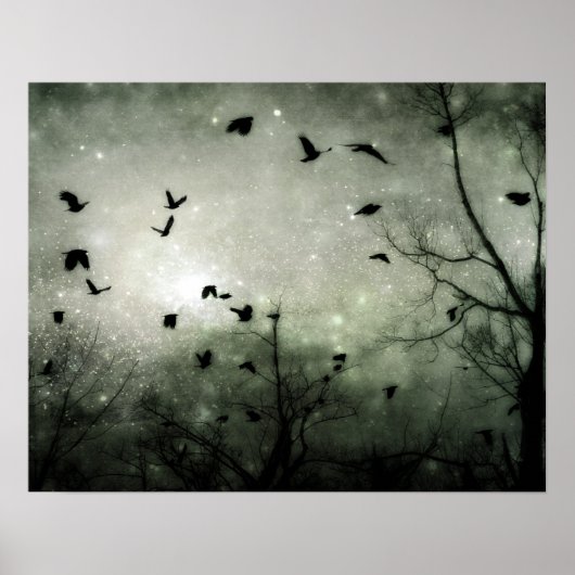 Stars und Crows Collide Poster (Vorne)