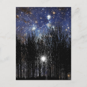 Starscape & Trees - Postkarte