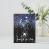Starscape & Trees: Reach - Postkarte (Stehend Vorderseite)
