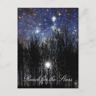Starscape & Trees: Reach - Postkarte