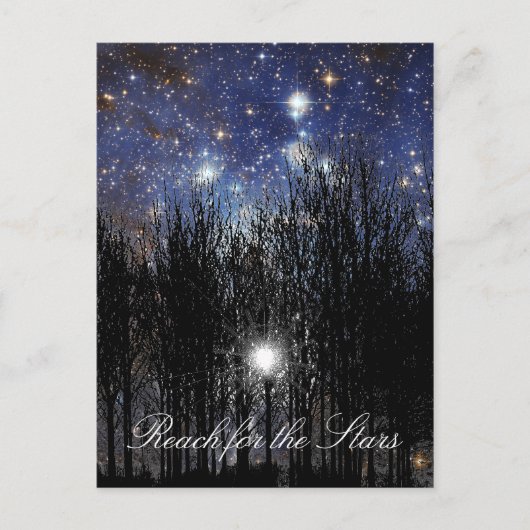 Starscape & Trees: Reach - Postkarte (Vorderseite)