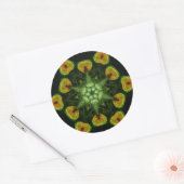 STARSEE RUNDER AUFKLEBER (Umschlag)