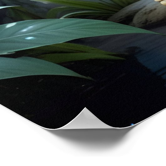 Starstruck AI Fantasy Digital Art Print Frog Poster (Ecke)