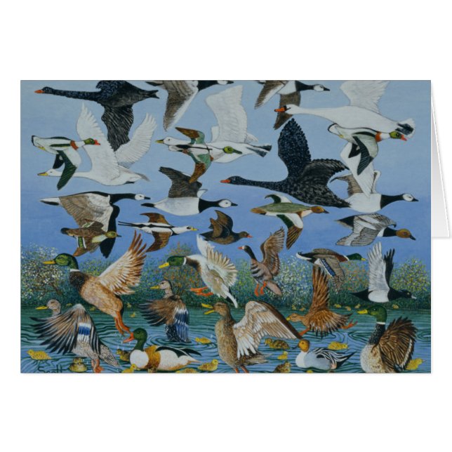 Start 1996 (Vorderseite (Horizontal))