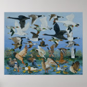 Start 1996 poster (Vorne)