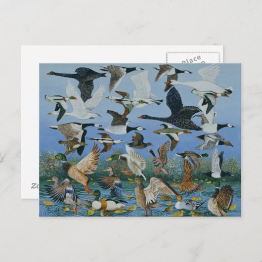 Start 1996 postkarte (Vorne/Hinten)