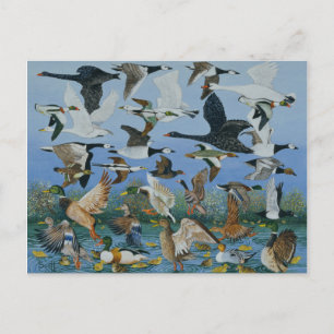 Start 1996 postkarte