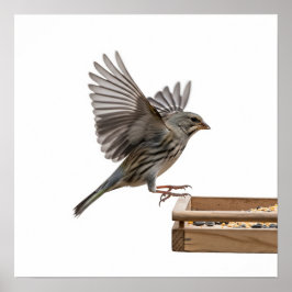 Start aus der Feeder-Grafik Poster