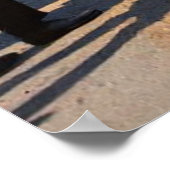 Start der ersten Tour de France Circa 1903 Poster (Ecke)