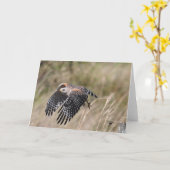 Start der Gruß-Karte Karte (Gelbe Blume)