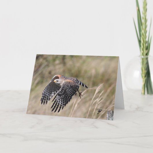 Start der Gruß-Karte Karte (Vorderseite)