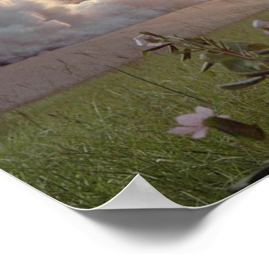 Start der Raumfähre "Challenger" (STS-51F) Poster (Ecke)