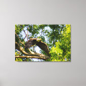 Start der Zweigstelle Bald Eagle Leinwanddruck (Vorderseite)