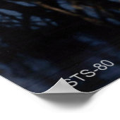 Start des Space Shuttle STS-80 Poster (Ecke)