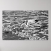 Start Poster (Vorne)