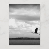 Start Postkarte (Vorderseite)