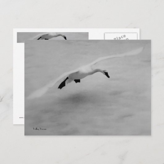 Start Postkarte (Vorne/Hinten)