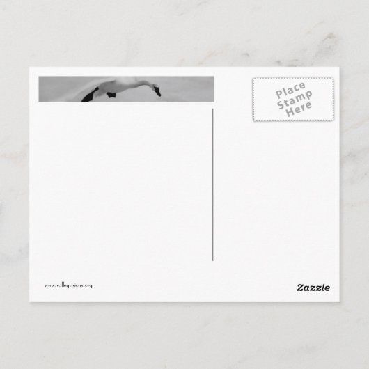 Start Postkarte (Rückseite)