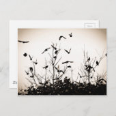 Start Postkarte (Vorne/Hinten)