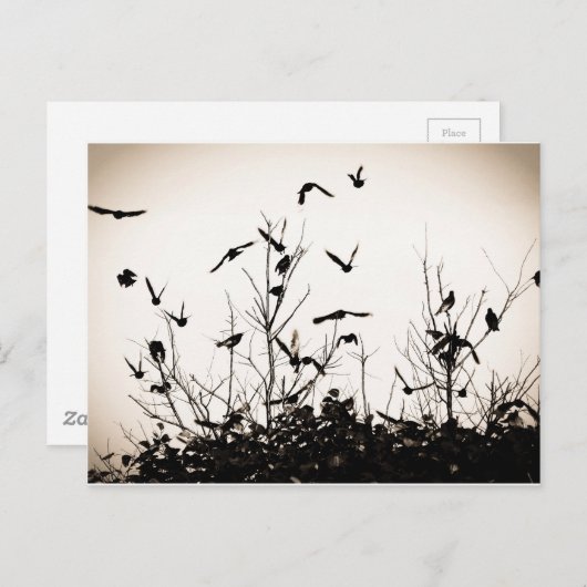 Start Postkarte (Vorne/Hinten)