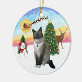 Start - Schneekatze Keramik Ornament (Links)