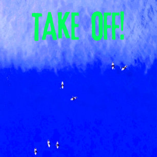 Start! Surfterm eine Welle fangen T-Shirt