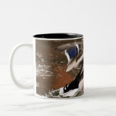 Start von Mallard Ducks Zweifarbige Tasse (Links)
