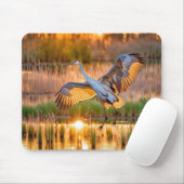 Start von SandHill Crane Mousepad (Mit Mouse)
