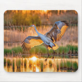 Start von SandHill Crane Mousepad (Vorne)